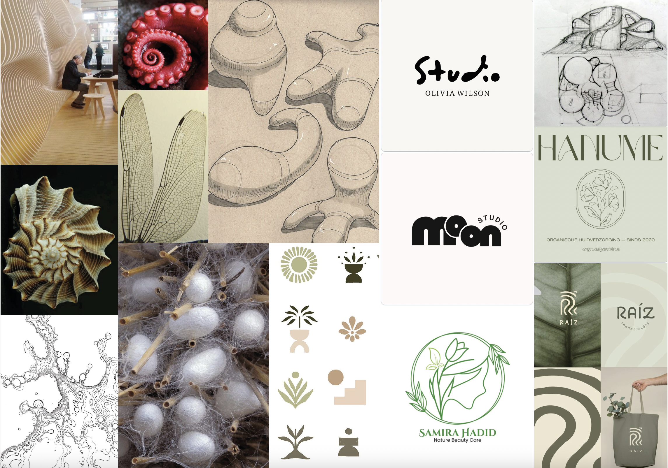 Moodboard 3 — typografie en kleur